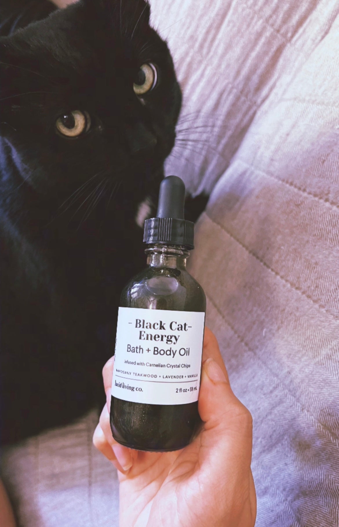 Spooky Cat Mom Bundle
