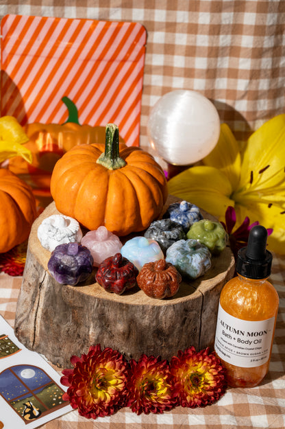 Limited Edition Autumn Moon Bag