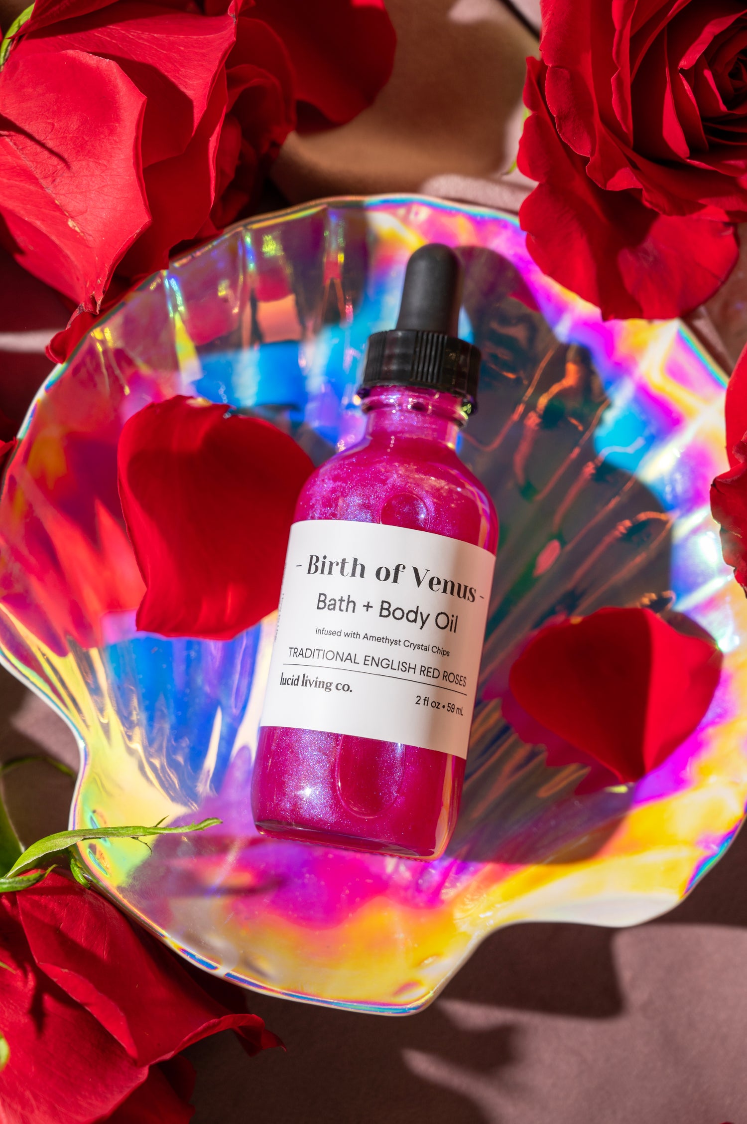 Birth of Venus Bundle