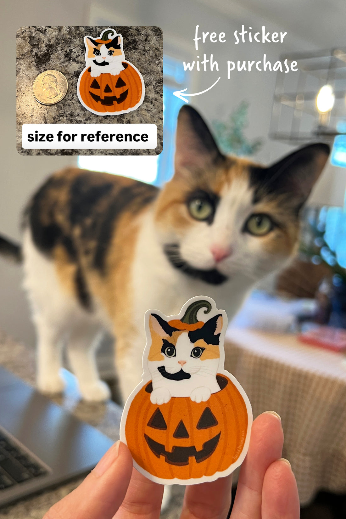 Spooky Cat Mom Bundle