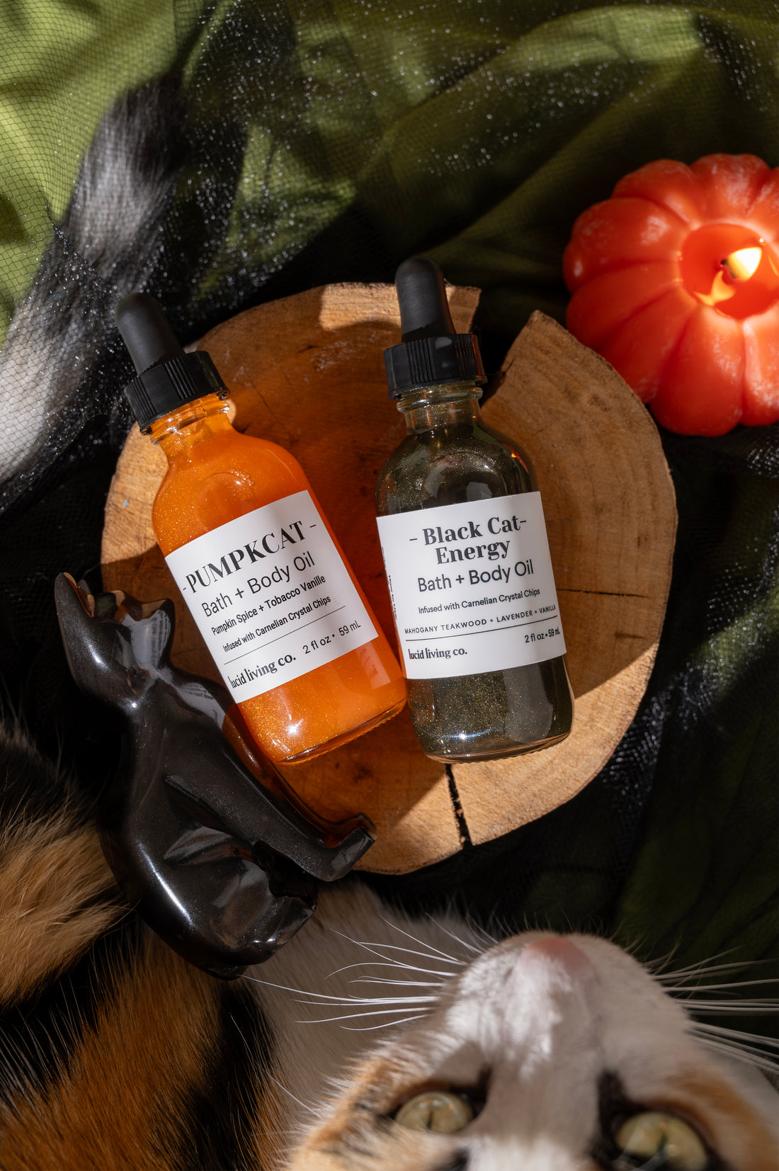 Spooky Cat Mom Bundle